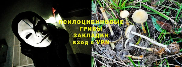 ПСИЛОЦИБИНОВЫЕ ГРИБЫ Покровск