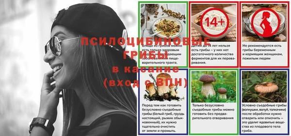spice Алексин