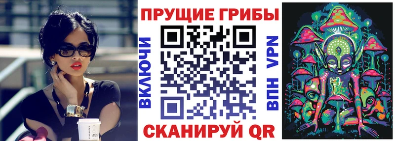 Галлюциногенные грибы прущие грибы  мега онион  Салехард 